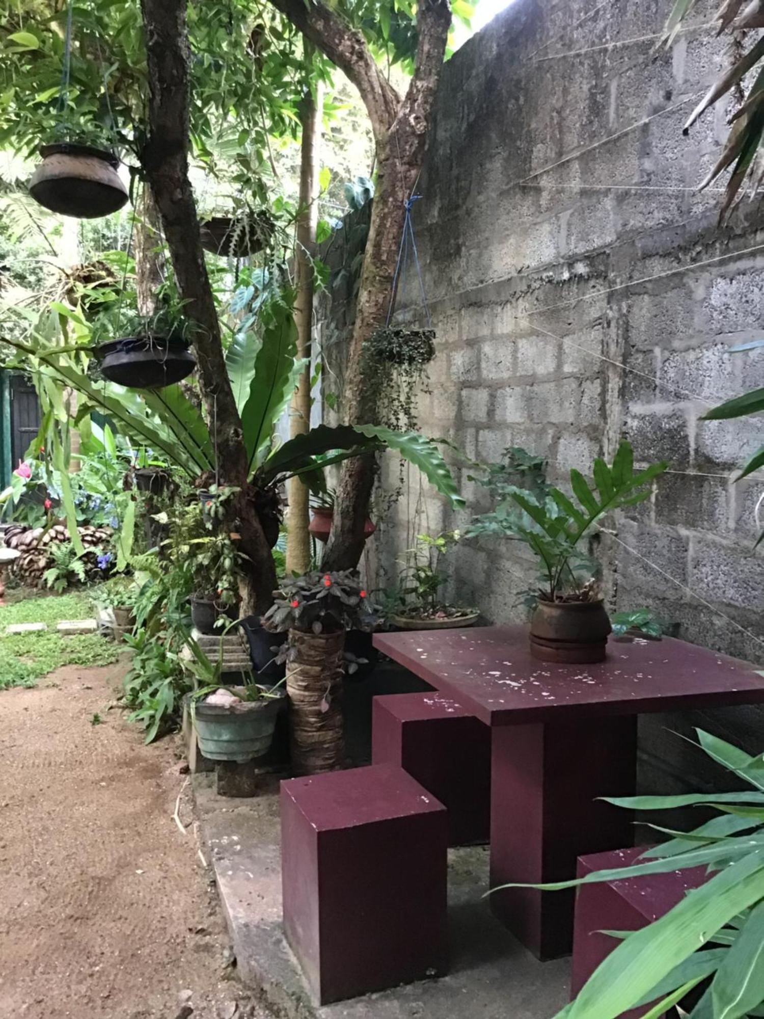 Sanjeehome & Lanka Ayurveda, Bentota Eksteriør bilde