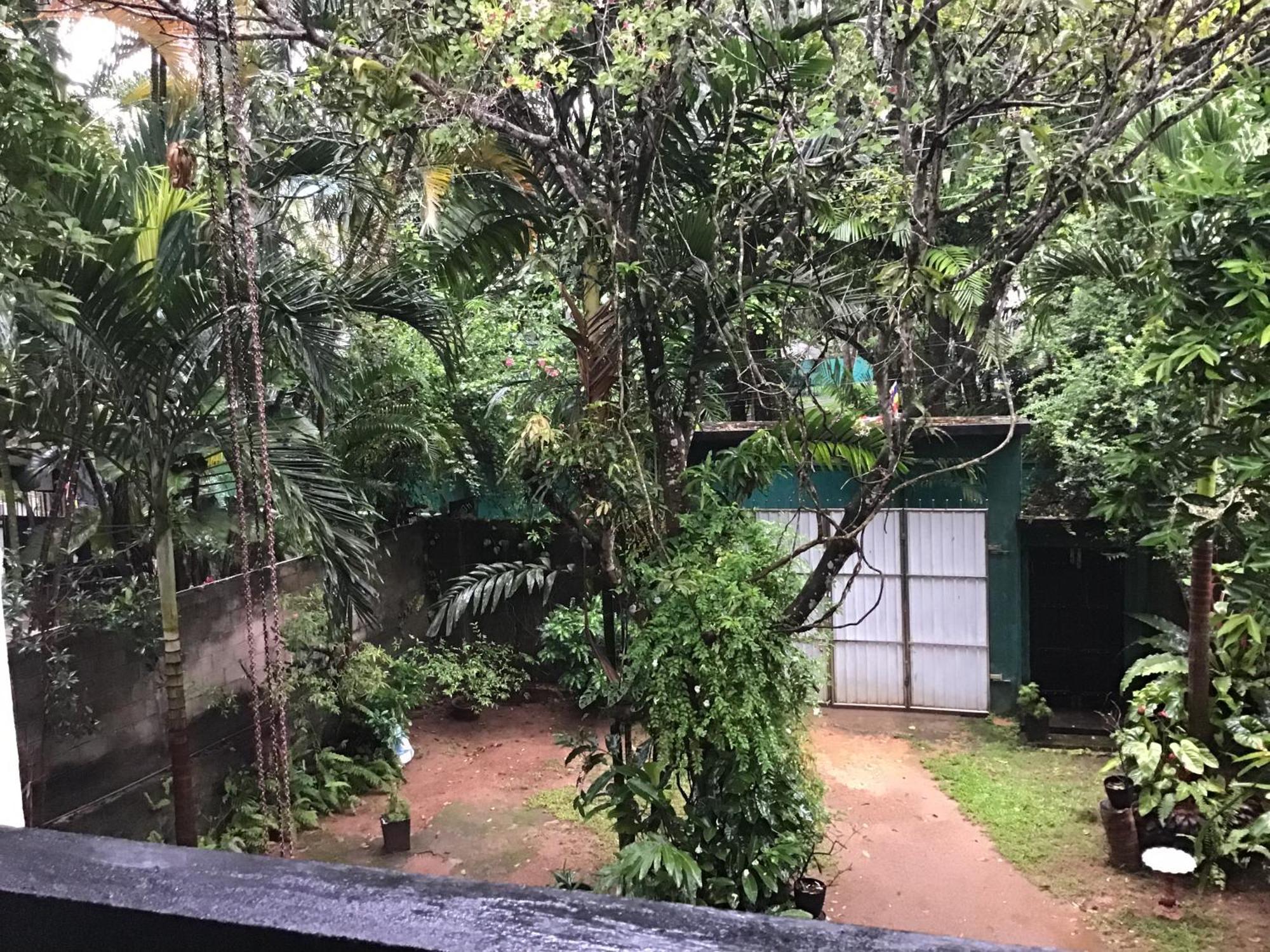 Sanjeehome & Lanka Ayurveda, Bentota Eksteriør bilde